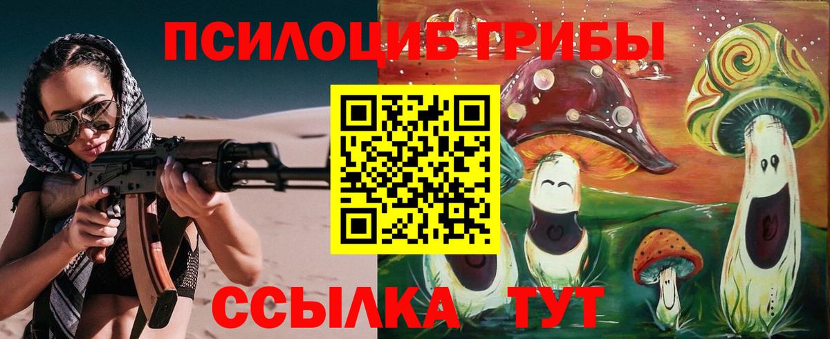 Пыть-Ях  Псилоцибиновые грибы Cubensis  Вход с VPN 