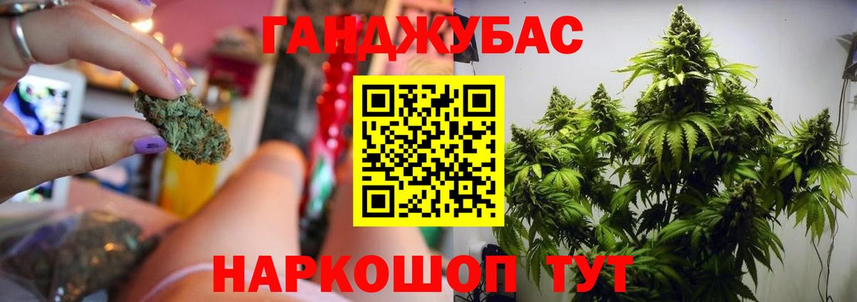 Конопля гибрид Пыть-Ях